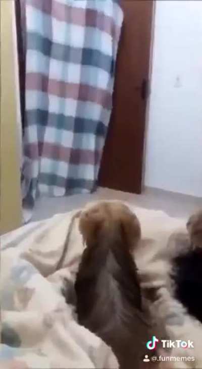 Perd&atilde;o por ser de Tico Tico e se for repost eu tamb&eacute;m pe&ccedil;o desculpas