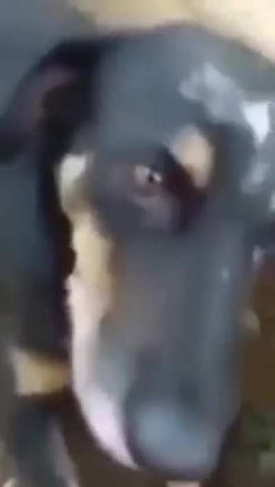 Me responde essa ai &eth;