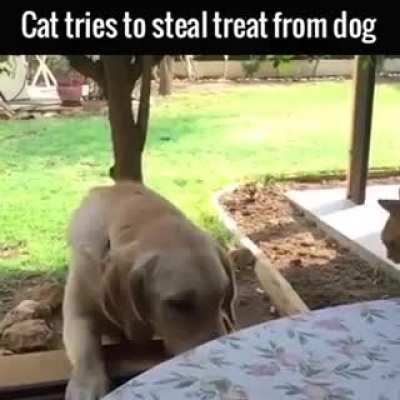I GOT IT! I got it? did I get it?