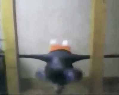 Femur