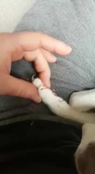 Playing with fire