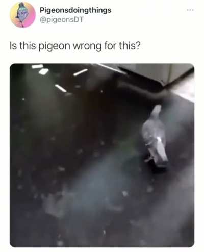 birb payed all money he's due to society already