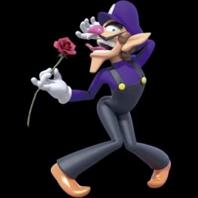 Wario brothers cover of Helve's "deleting old pictures"