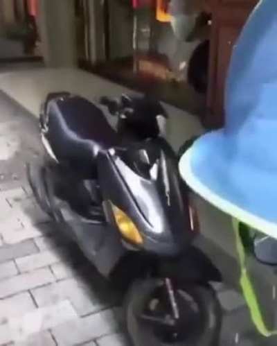 Traffic laws are for losers