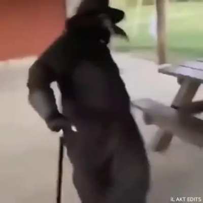 Voc&ecirc;s iam ser quem
