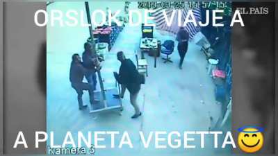 Vegetaci&oacute;n 🌳🌳🌳