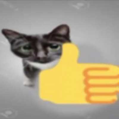 meow :3