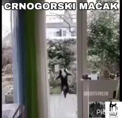 Niko: