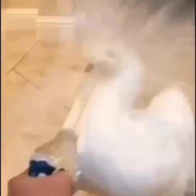 Noooooooooo