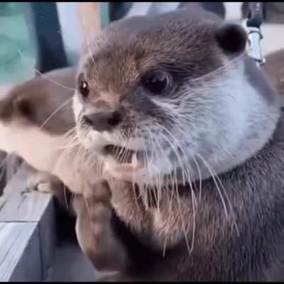 What?!