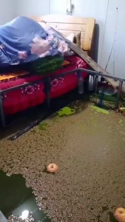 he dropped it