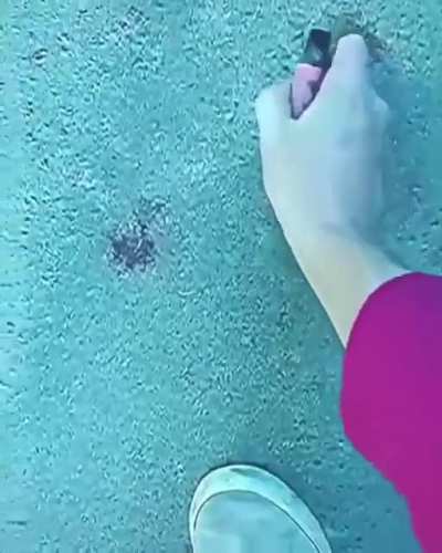 acid be like