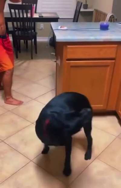 &ldquo;Am much shot. Now take nap.&rdquo; -Dog