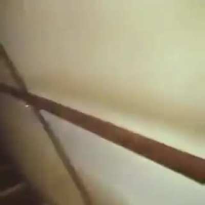shitposting - Video #6642
