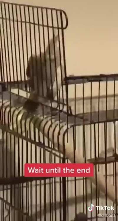 He was warned