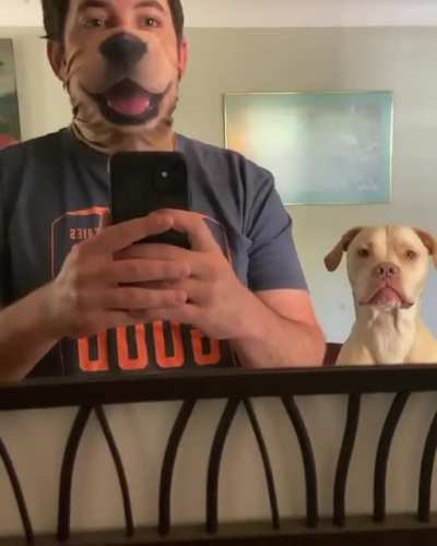 Dad, there&rsquo;s a dog on your face!