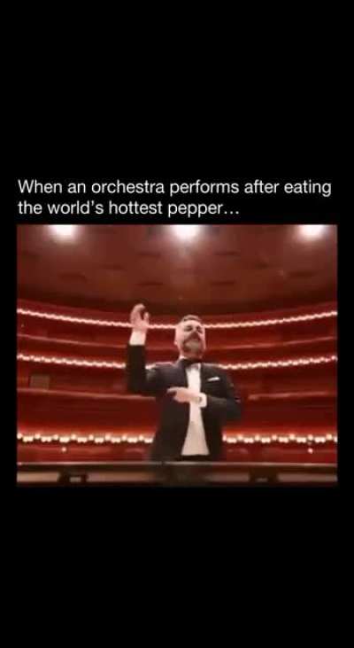 Danish National Chamber Orchestra