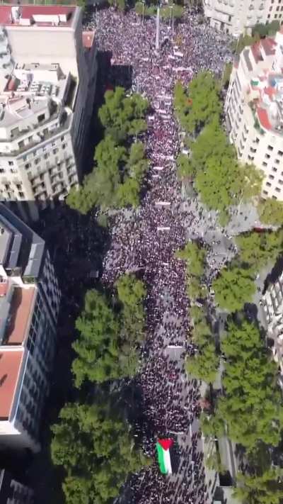 One of largest protests for Palestine has occurred in Barcelona