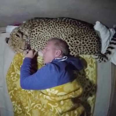 Spotted pillow