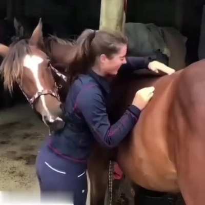 You scratch my back I scratch yours
