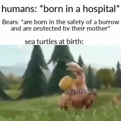 [HUMOR]