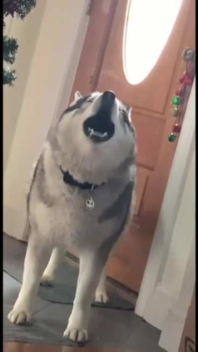 He has arrived