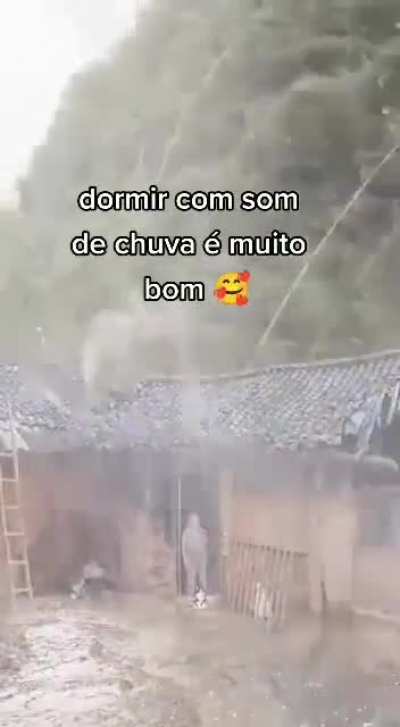 chiquin gavi&atilde;o exta cum fomi