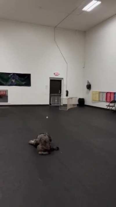 [OC] That&rsquo;s a Flop
