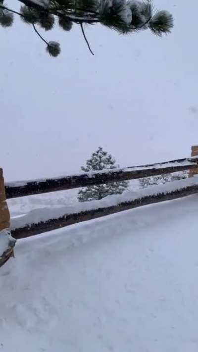 Bryce Canyon National Park, Utah. 28th December 2020