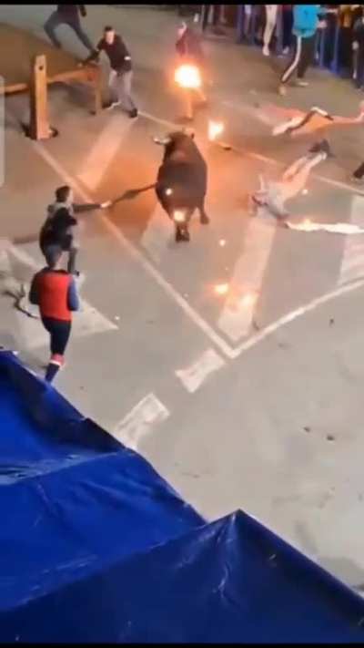 Another Bull W