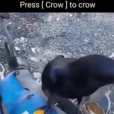Press [ Wunk ] to Wunk