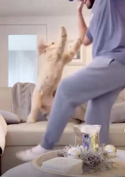Lets boogie