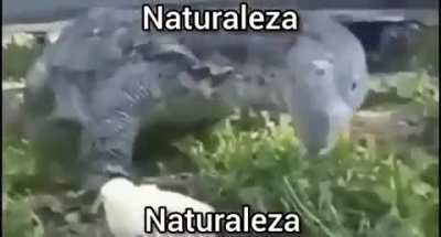 Natureza
