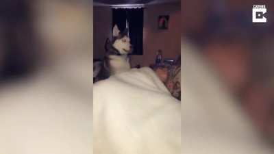 He keeps waking her up!