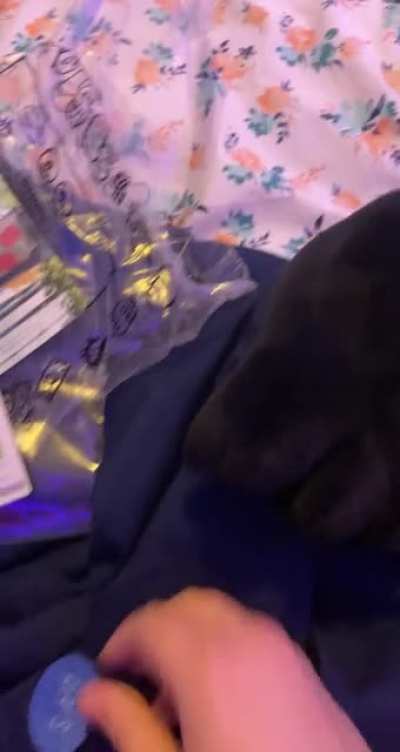 so i took the liberty of cutting open my spamton plush&hellip;