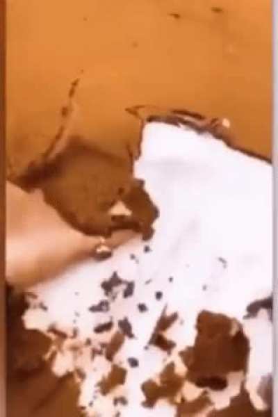 Sandstorm after snowstorm (forbidden tiramisu)