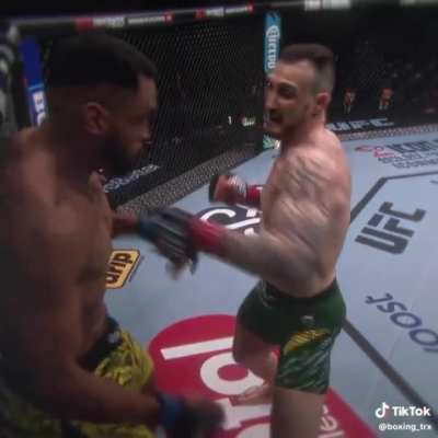 The Art Of MMA.