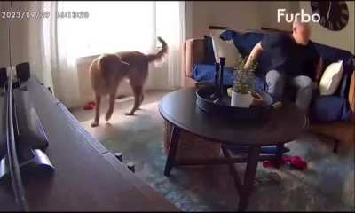 Way to ruin a nap.