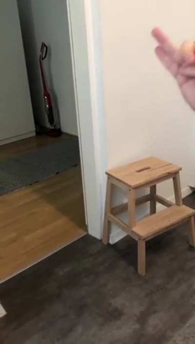 How to summon a Beagle