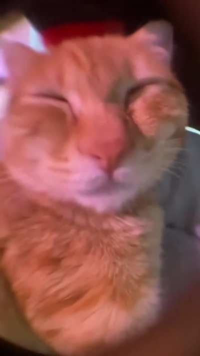 wunk on da phone