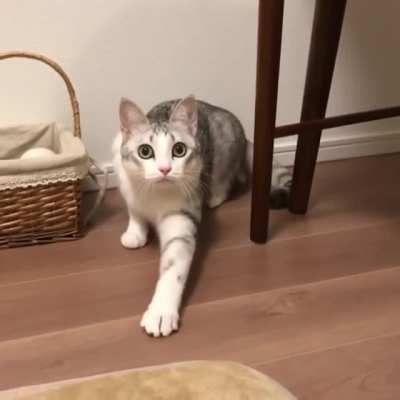 "Come over here."