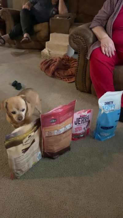 Grandma&rsquo;s 16 year old dog picks which treat she wants every day.
