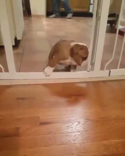 Watch me hop