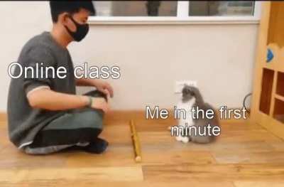 Haha scrolling goes brrr