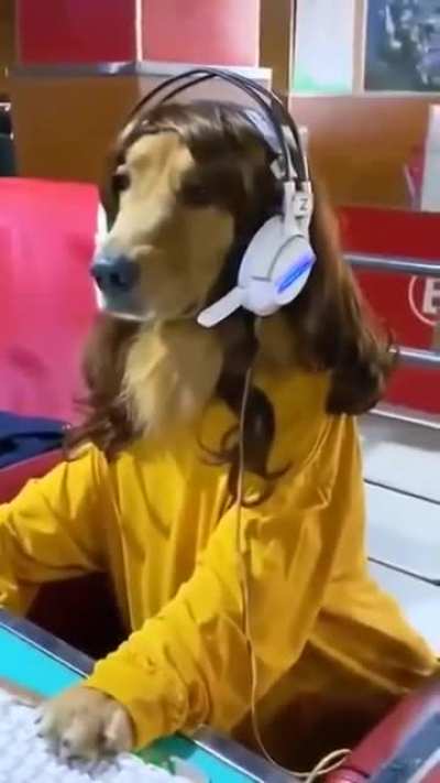 Gamer "girl"