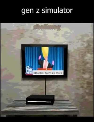 Gen Z Simulator