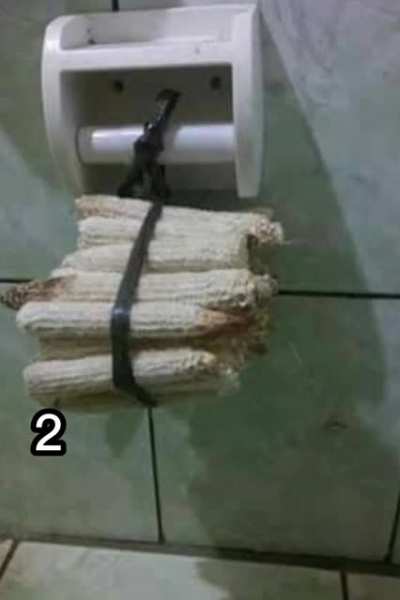 Qual e melhor