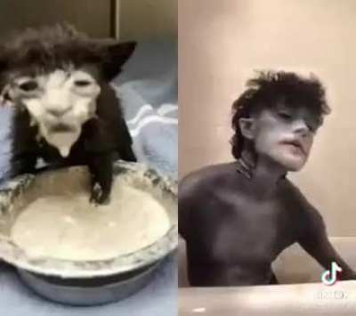 i hope i'll get enough upvotes