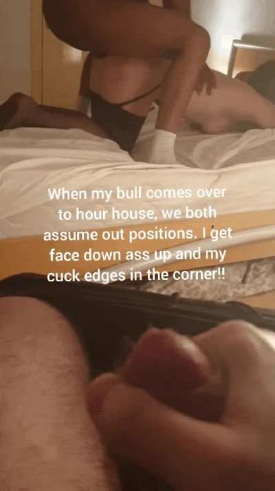 I love a dominant bull that can exert his authority!!