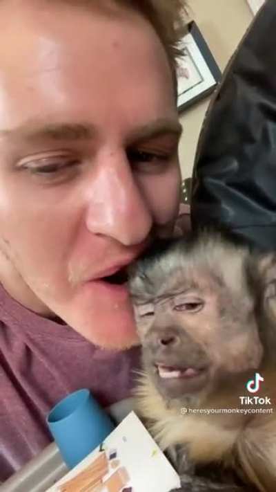 This monkey&rsquo;s face lol